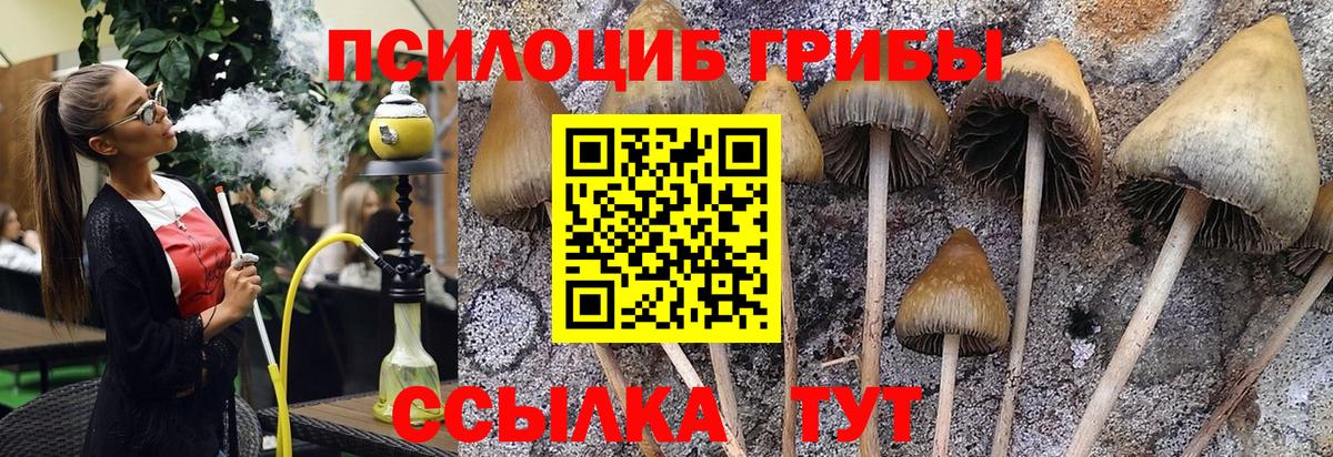 Псилоцибиновые грибы Psilocybine cubensis  Псилоцибиновые грибы прущие грибы  Приморско-Ахтарск  что такое наркотик  Вход с VPN 